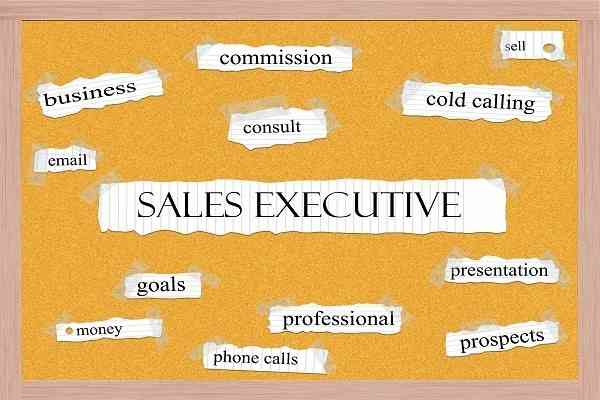 Sale Executive là gì? 