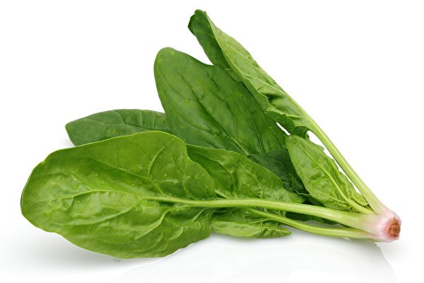 rau spinach là rau gì