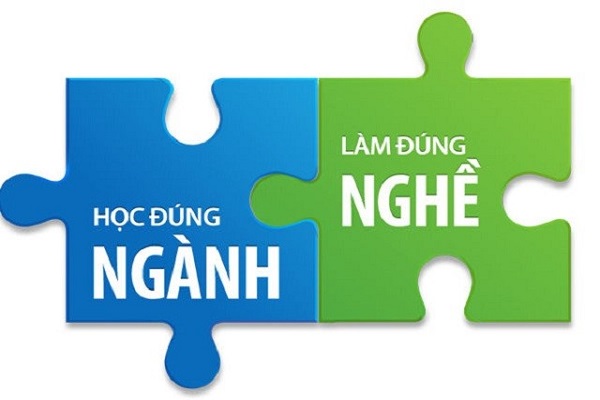 chọn đúng ngành