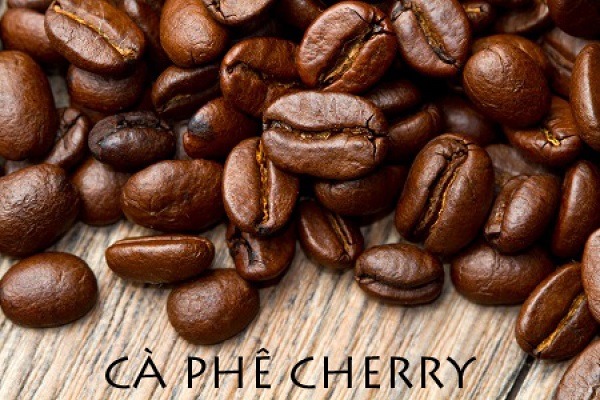 hình ảnh cà phê cherry