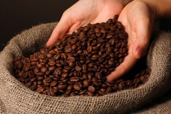 nguồn gốc cây cà phê