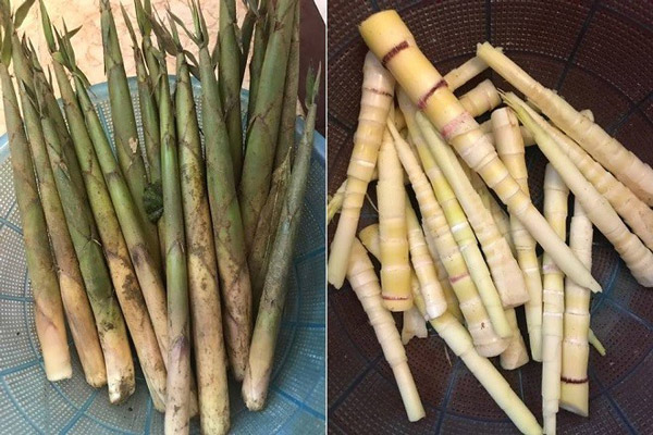 Cách Chọn Măng Tươi Ngon