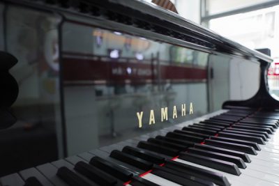 học organ có chơi được piano hay không