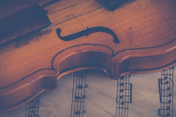 Học Violin ở Đâu Uy Tín, Chất Lượng Tại TP. HCM